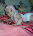 avram chasia nicola